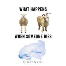 What Happens When Someone Dies by Robert Wyeth Paperback Book