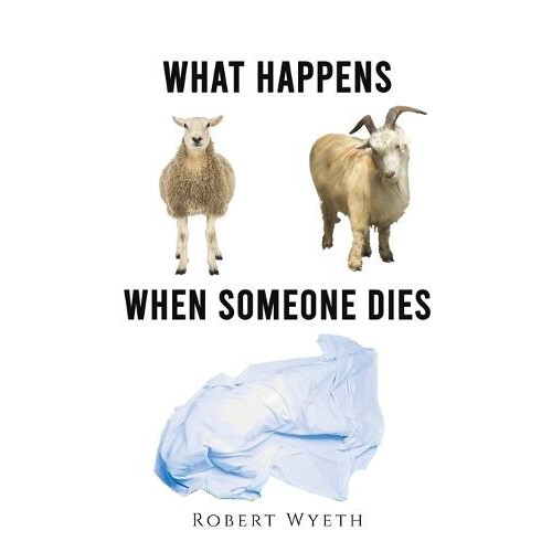 What Happens When Someone Dies by Robert Wyeth Paperback Book