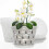 Vasos de OrquíDea - 7 Polegadas - 5 Potes e Pires, Potes de OrquíDea com Furos e Potes de PláStico Transparente para Repotting 4