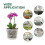 Vasos de OrquíDea - 7 Polegadas - 5 Potes e Pires, Potes de OrquíDea com Furos e Potes de PláStico Transparente para Repotting 7