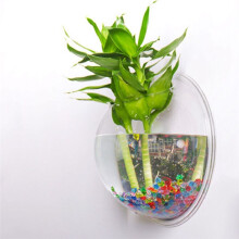 Transparent Plant Pot Wall Mounted Hanging Fish Tank Flower Round Vase Pot Acrylic Bowl Bubble Aquarium Home Plant Pot