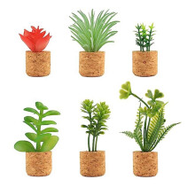 6 Pcs Cactus Refrigerator Magnets  Cute Succulent Plant Fridge Magnet Decoration Accessories for Home Kitchen Office
