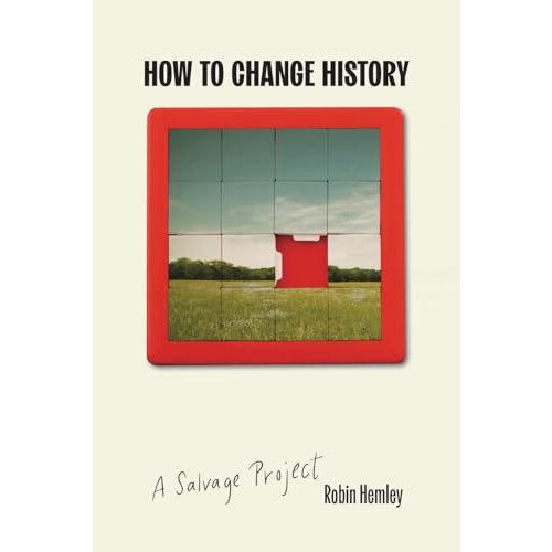How to Change History by Robin Hemley Paperback Book