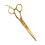 Barber barber scissors BARBER GLORIOUS 6,5' EUROSTIL 1