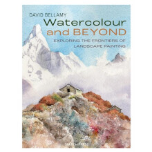 Watercolour and Beyond by David Bellamy Paperback Book