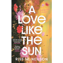 A Love Like the Sun by Riss M Neilson Paperback Book