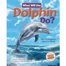 What Will the Dolphin Do by Darcy Halverson Hardcover Book