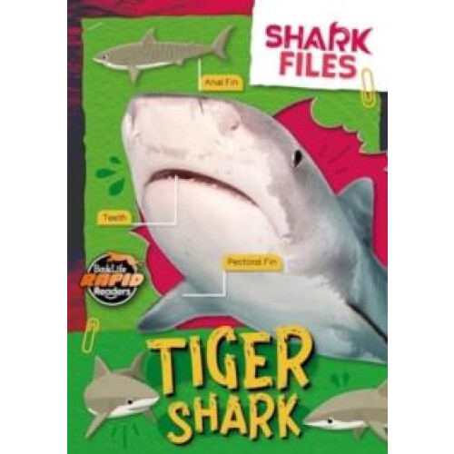 Tiger Shark by Robin Twiddy Paperback Book