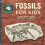 Fossils for Kids by Ashley Hall Paperback Book 1