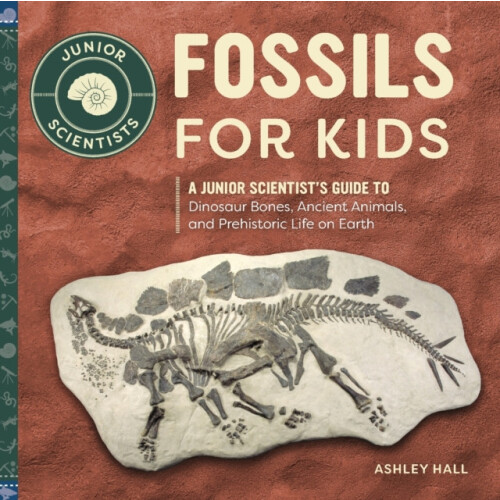 Fossils for Kids by Ashley Hall Paperback Book