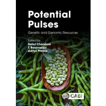 Potential Pulses Hardcover Book