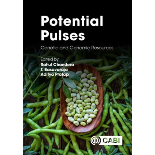 Potential Pulses Hardcover Book
