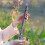 8-Hole Recorder ABS G 8-Hole Recorder Student Classroom Playing Wind Music 4