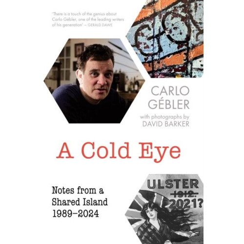 A Cold Eye by Carlo Gebler Paperback Book