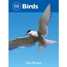 Reed Mini Guide Birds by Dan Brown Paperback Book
