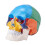 Menselijk Schedelmodel, Levensgroot Geschilderd Anatomisch Schedelmodel, PVC Anatomische Schedel B 3