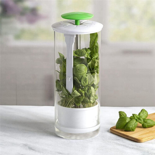 Vegetable Herb Preservator Herb Coriander Fresh-Keeping Box Breathable Herb Storage Container 2