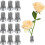 12 Peças Flower Frog, Round Stainless Floral Frogs, Flower Arranger Fixed Tool Pin Frog (Prata, 0,6 Polegadas) 2