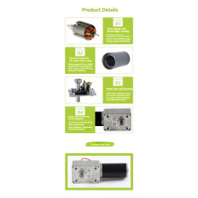 5840-31ZY Turbo Worm Encoder Micro- Motor, Self-Locking, Speed Control, 12V, High Torque Reduction Gear Motor 40RPM