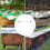 Bee Hive Frame Grip Beekeeping Frame Stand Supplies Tools Hive Support Bracket Rack Sturdy Garden Accessories 5