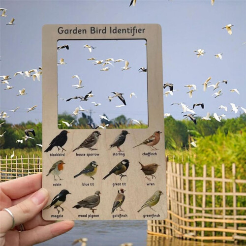 Nature Guide Finder Frame - Dual Sided Nature Guide Viewer, Garden Phase Identifier(Birds) 1