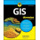 GIS For Dummies by Jami Dennis Paperback Book 1