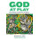 God at Play Paperback Book 1