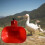 Automatic Chicken & Duck Drinking Cup Waterer Bowl Poultry Drinking Bowl Automatic Watering Feeder Drinking Bowl 2