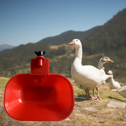 Automatic Chicken & Duck Drinking Cup Waterer Bowl Poultry Drinking Bowl Automatic Watering Feeder Drinking Bowl 1