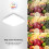 Lepro Ceiling Lights 24W, 2400lm Super Bright Square LED 4
