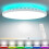 Peasur 30CM LED Ceiling Light 3000-6500K, 24W 3200LM 1