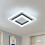 AUA LED Ceiling Light, 24W Modern Ceiling Lamp, LED Ceiling 1