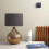 Hive Hive Smart Light Bulb E14 Dimmable (V9), Works with Amazon Alexa, White 6
