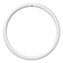 Crompton Lamps Circular Fluorescent Light Bulb, GR10q, 4050 lm, 60 Watts