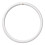 Crompton Lamps Circular Fluorescent Light Bulb, GR10q, 4050 lm, 60 Watts 1