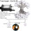 FANSIR Globe String Lights Waterproof, 10M 33ft 100 LED Plug in Fairy Lights 4