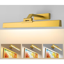 MOITA Picture Lights for Wall, 5000mAh Battery Operated Wall Lights with Remote, Rechargeable LED Picture Lights, Cordless Dartboard Lights Gold 40CM