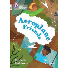 Aeroplane Friends by Michelle Mohrweis Paperback Book