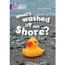 Whats washed up on shore by Ben Hubbard Paperback Book