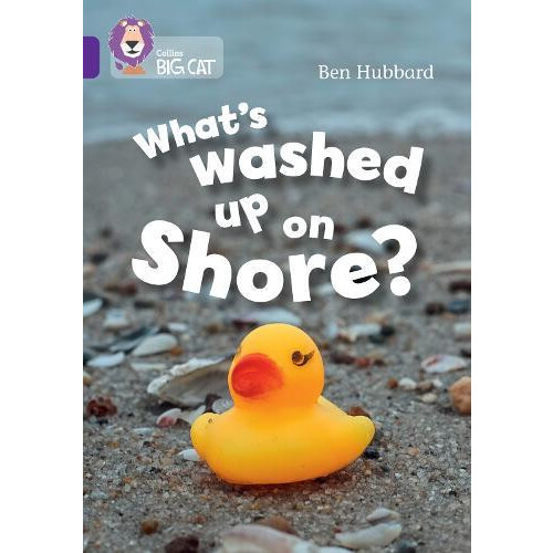 Whats washed up on shore by Ben Hubbard Paperback Book
