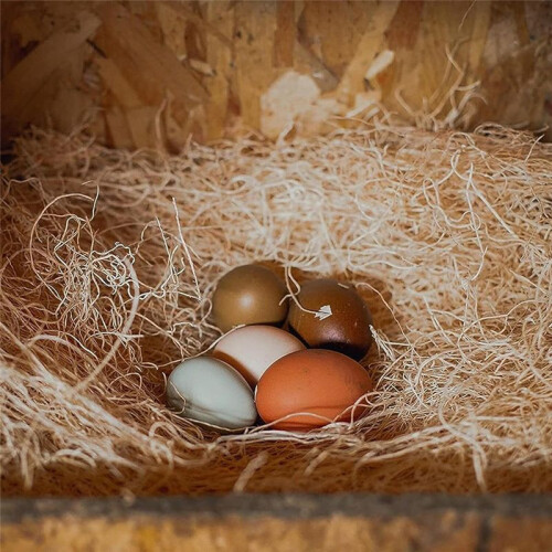 Premium Laying Hen Nesting Pads, Farm Ranch Hen Nesting Mat Square Coconut  Chicken Nest Hen Egg Nesting Mat 1