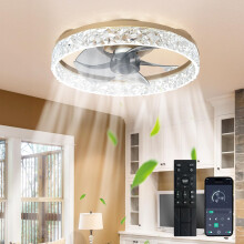 Depuley 16-Inch Ceiling Fans with Lights: LED Ceiling Fan