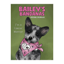 Baileys Bandanas by Noranne Brumagin Paperback Book