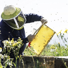 Herramienta Colmena Abejas para Apicultores, Incluye Raspador Elevador Marco Gancho J, Elevador Soporte Agarre Marco Colmena Abejas, Cepillo