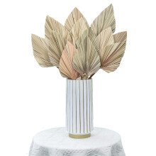 12 Pcs Natural Dried Leaves Decor Boho Dried Leaf for Weddings Decoration Bedroom Kitchen Office 10X40Cm