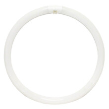 Sylvania 40W T9 circline plus circular lamp tube G10q cool