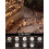 EcoNour Christmas Tree Lights, Cluster Compact 1000 LED 5