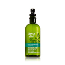Bath & Body Works Aromatherapy Kussenmist Eucalyptus Spearmint (Retired Geur) 5.3 Fl Oz