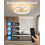 NEWSEE LED Ceiling Fans with Lights Reversible Remote, 2