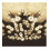 Premier Premier Decorations - 720 Multi Action Cluster LED Lights with Timer - Warm White 2